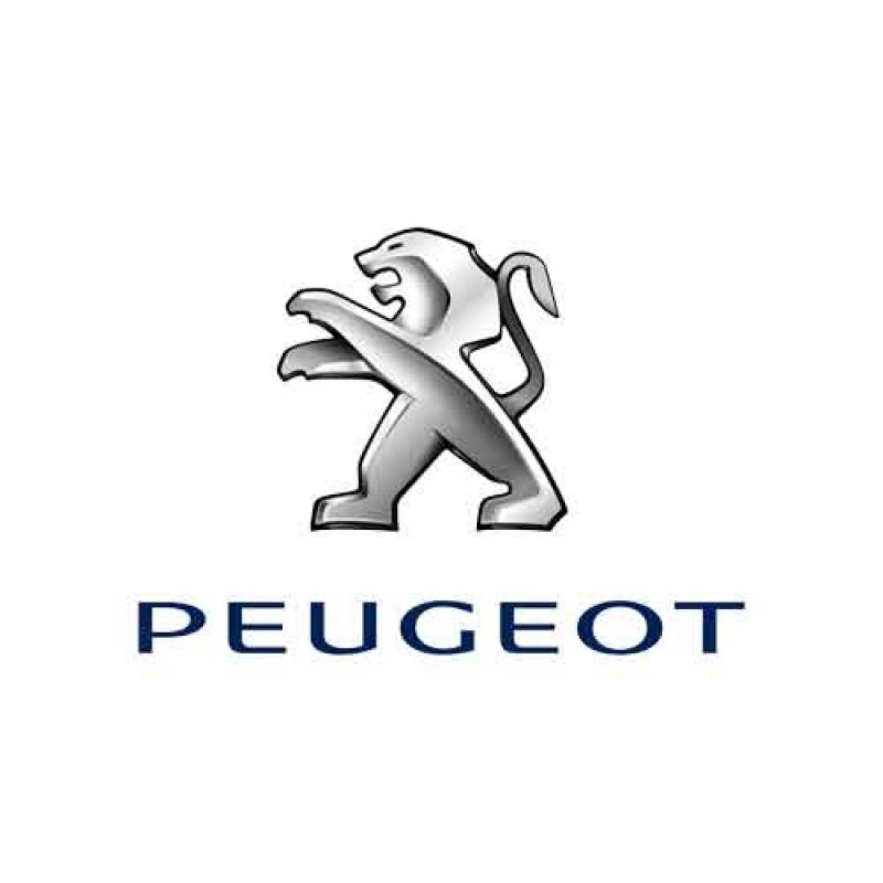 Tapis auto PEUGEOT