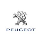 Housses de protection carrosserie auto PEUGEOT 207+