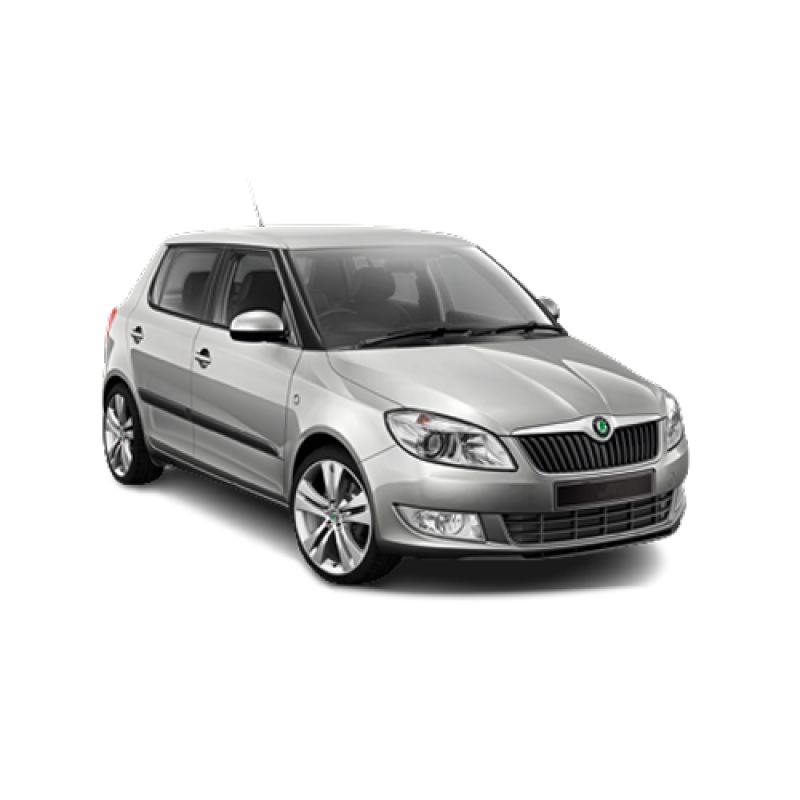 Tapis auto SKODA FABIA 2 (De 06/2007 à 10/2014)